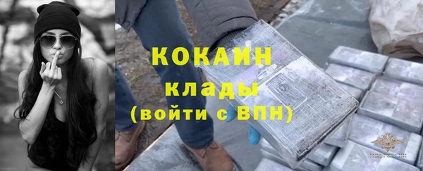 apvp Алексин
