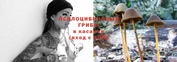 соль курить ск Алексеевка
