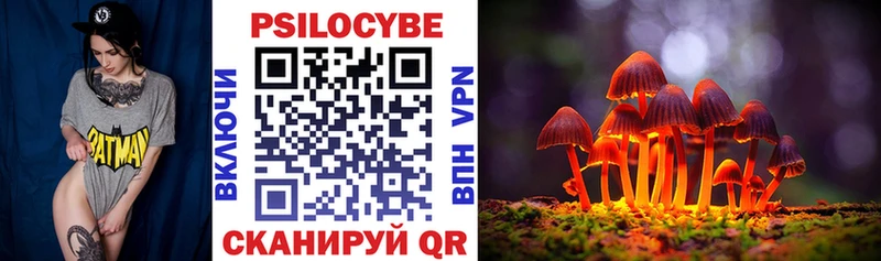 сколько стоит  Гурьевск  Псилоцибиновые грибы мухоморы 